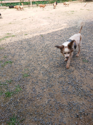 f:id:roukenhome-ann:20190620151919j:plain