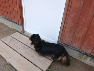 f:id:roukenhome-ann:20190620151924j:plain