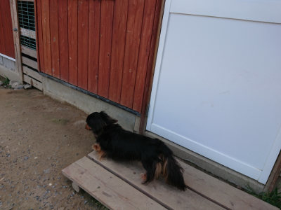 f:id:roukenhome-ann:20190620151941j:plain