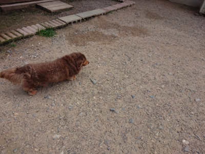 f:id:roukenhome-ann:20190620152017j:plain