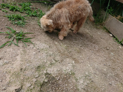 f:id:roukenhome-ann:20190620152046j:plain
