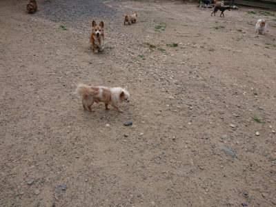 f:id:roukenhome-ann:20190620152106j:plain