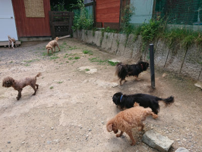f:id:roukenhome-ann:20190620152125j:plain
