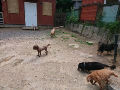 f:id:roukenhome-ann:20190620152130j:plain