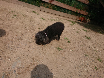 f:id:roukenhome-ann:20190620152139j:plain