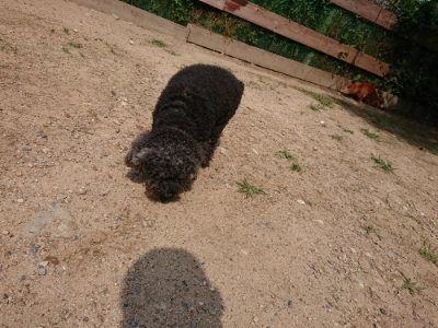 f:id:roukenhome-ann:20190620152143j:plain