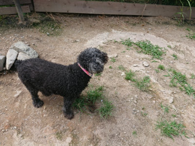 f:id:roukenhome-ann:20190620152148j:plain