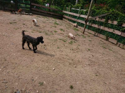 f:id:roukenhome-ann:20190620152158j:plain