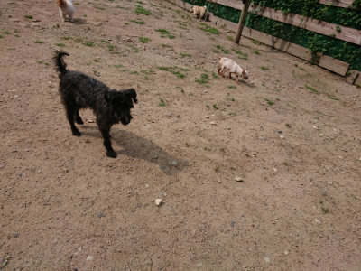 f:id:roukenhome-ann:20190620152213j:plain