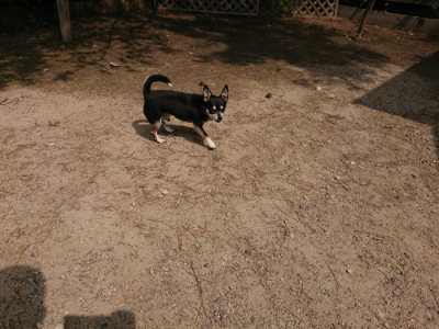 f:id:roukenhome-ann:20190620152237j:plain