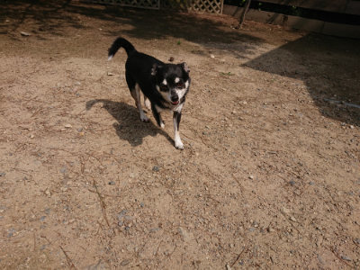 f:id:roukenhome-ann:20190620152257j:plain