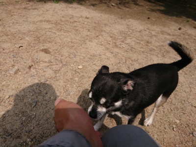 f:id:roukenhome-ann:20190620152313j:plain