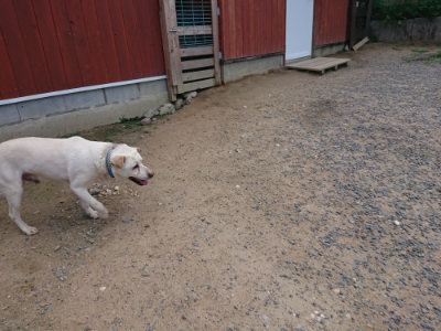f:id:roukenhome-ann:20190620152324j:plain