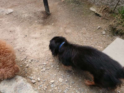 f:id:roukenhome-ann:20190620152330j:plain