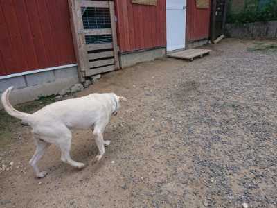 f:id:roukenhome-ann:20190620152340j:plain