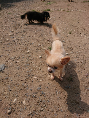 f:id:roukenhome-ann:20190620152344j:plain
