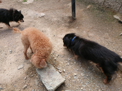 f:id:roukenhome-ann:20190620152349j:plain
