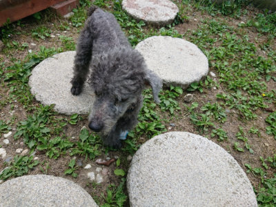 f:id:roukenhome-ann:20190620152444j:plain