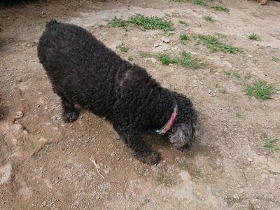 f:id:roukenhome-ann:20190620152452j:plain