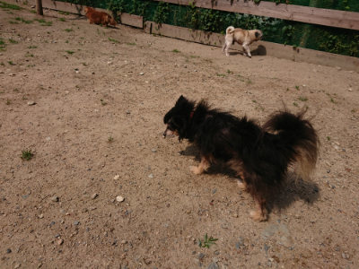 f:id:roukenhome-ann:20190620152507j:plain