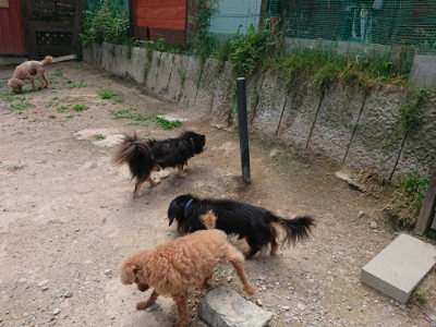 f:id:roukenhome-ann:20190620152513j:plain