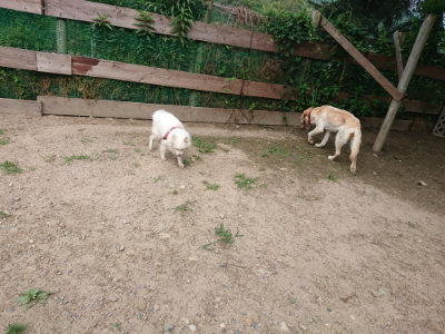 f:id:roukenhome-ann:20190620152520j:plain