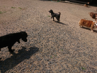 f:id:roukenhome-ann:20190620193455j:plain
