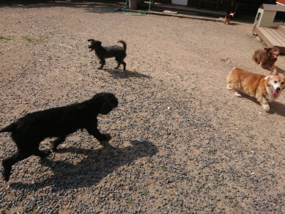 f:id:roukenhome-ann:20190620193501j:plain