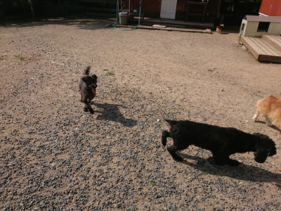 f:id:roukenhome-ann:20190620193519j:plain