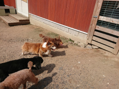 f:id:roukenhome-ann:20190620193527j:plain