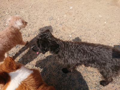 f:id:roukenhome-ann:20190620193537j:plain