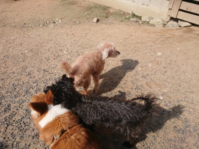 f:id:roukenhome-ann:20190620193546j:plain