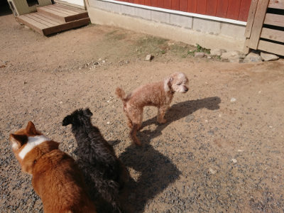 f:id:roukenhome-ann:20190620193553j:plain