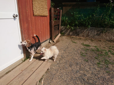 f:id:roukenhome-ann:20190620202009j:plain