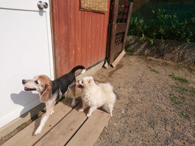 f:id:roukenhome-ann:20190620202014j:plain