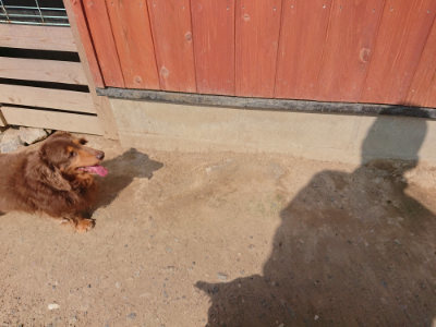 f:id:roukenhome-ann:20190620202021j:plain