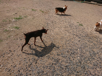 f:id:roukenhome-ann:20190620202030j:plain