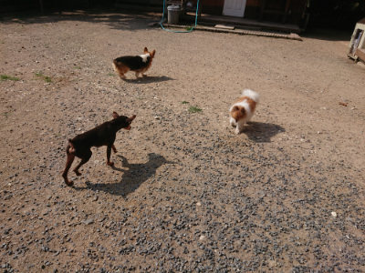f:id:roukenhome-ann:20190620202037j:plain
