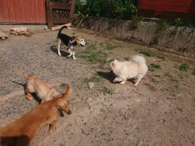 f:id:roukenhome-ann:20190620202204j:plain