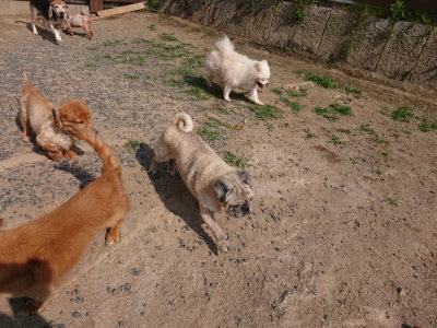 f:id:roukenhome-ann:20190620202210j:plain