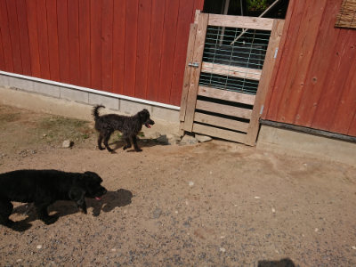 f:id:roukenhome-ann:20190620202215j:plain