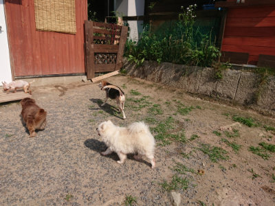 f:id:roukenhome-ann:20190620202217j:plain