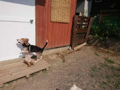 f:id:roukenhome-ann:20190620202220j:plain