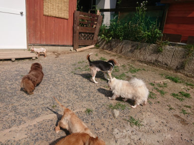 f:id:roukenhome-ann:20190620202223j:plain