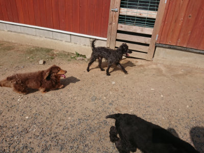 f:id:roukenhome-ann:20190620202227j:plain