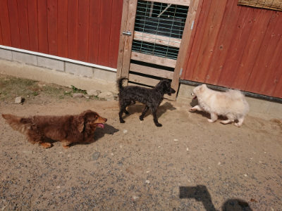 f:id:roukenhome-ann:20190620202233j:plain