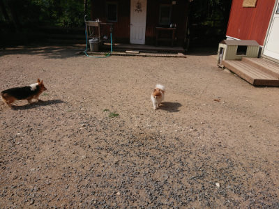 f:id:roukenhome-ann:20190620202253j:plain