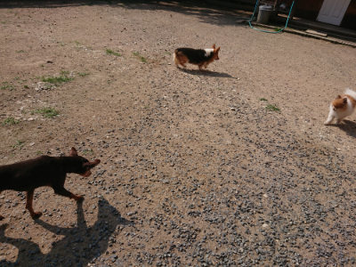 f:id:roukenhome-ann:20190620202259j:plain