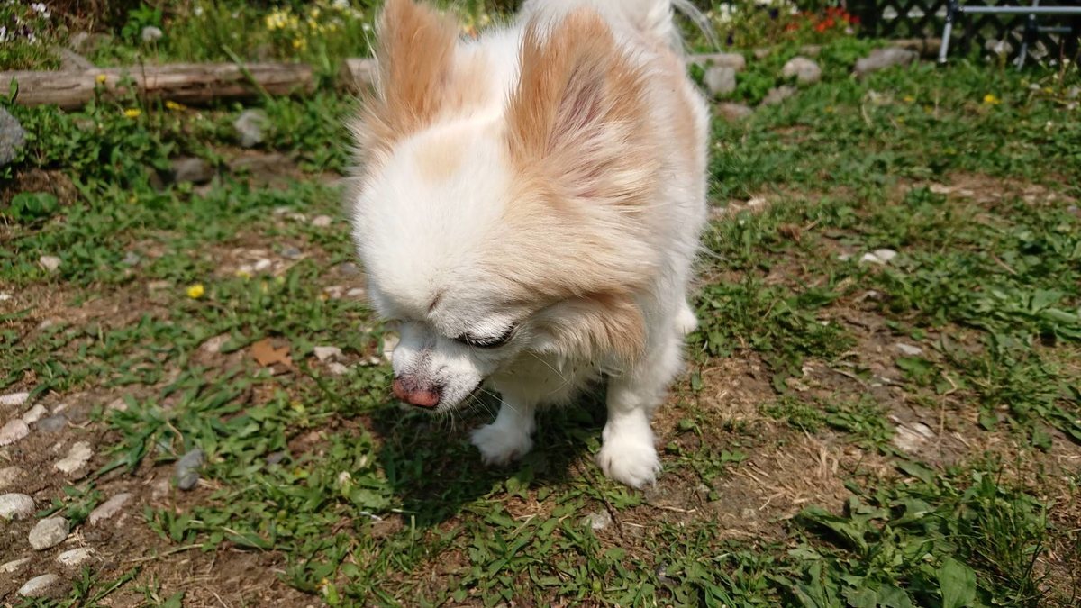 f:id:roukenhome-ann:20190622140147j:plain