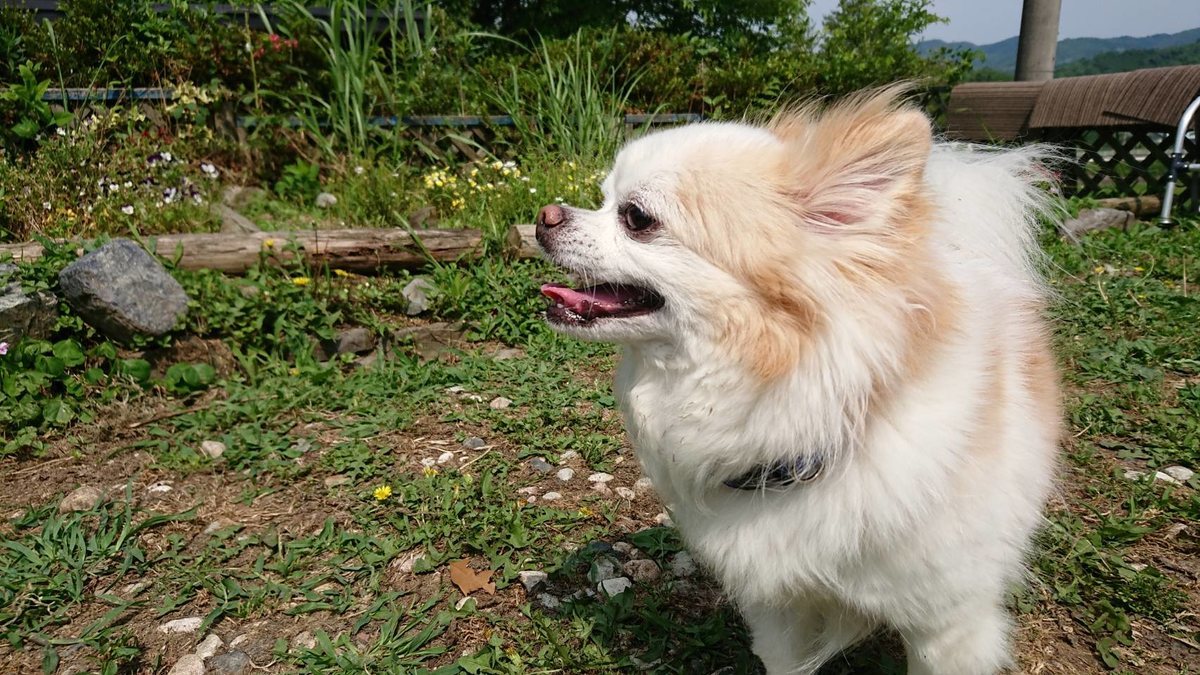 f:id:roukenhome-ann:20190622140210j:plain